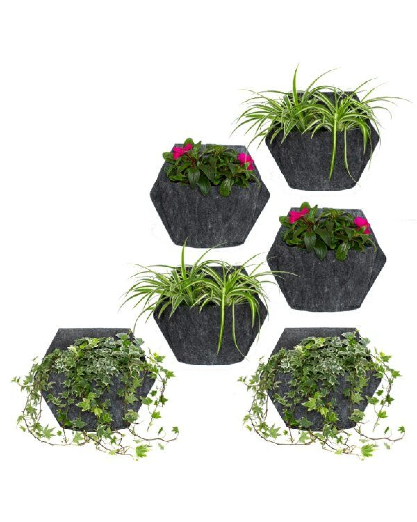 CitySens 6er-Pack Wand-Blumentopf mit Textilbezug und automatische Bewässerung – Ansicht 3