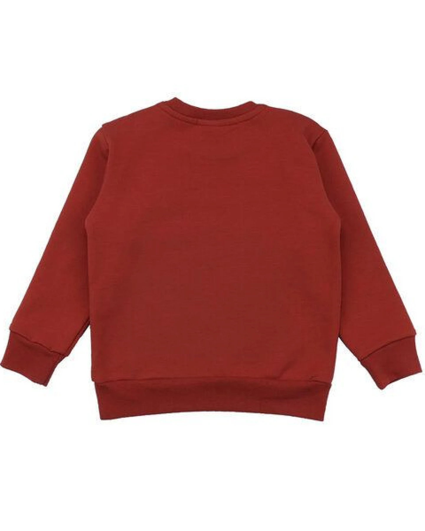 Kinder Sweatshirt GOTS zertifiziert Bio-Baumwolle mit Elasthan, Rostrot, Walkiddy – Ansicht 2