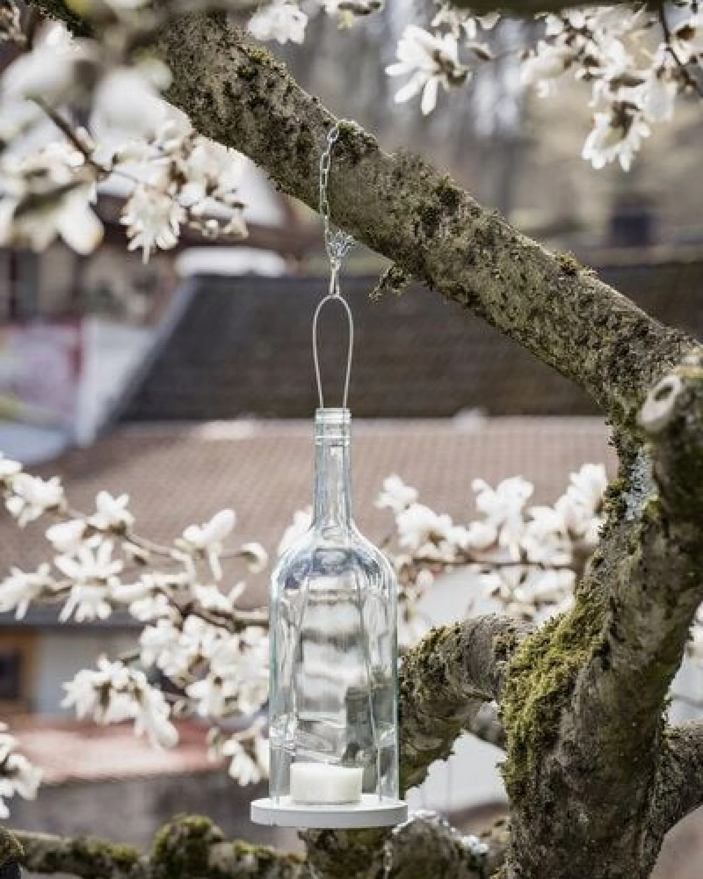 MaBe hängeWINDLICHT® aus der 1,5l Bordeauxform – Ansicht 3