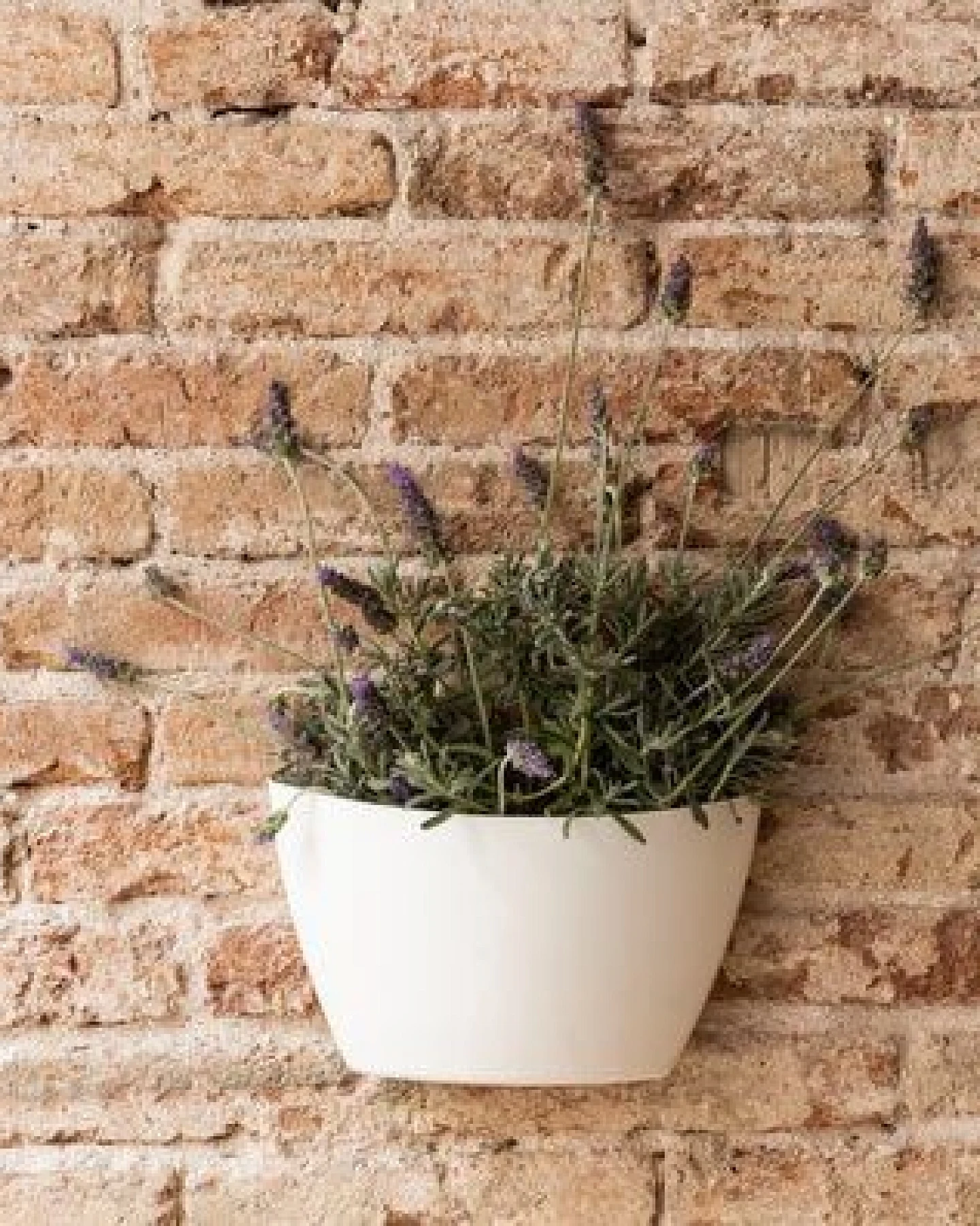 CitySens 6er-Pack Wand-Blumentopf – Ansicht 4
