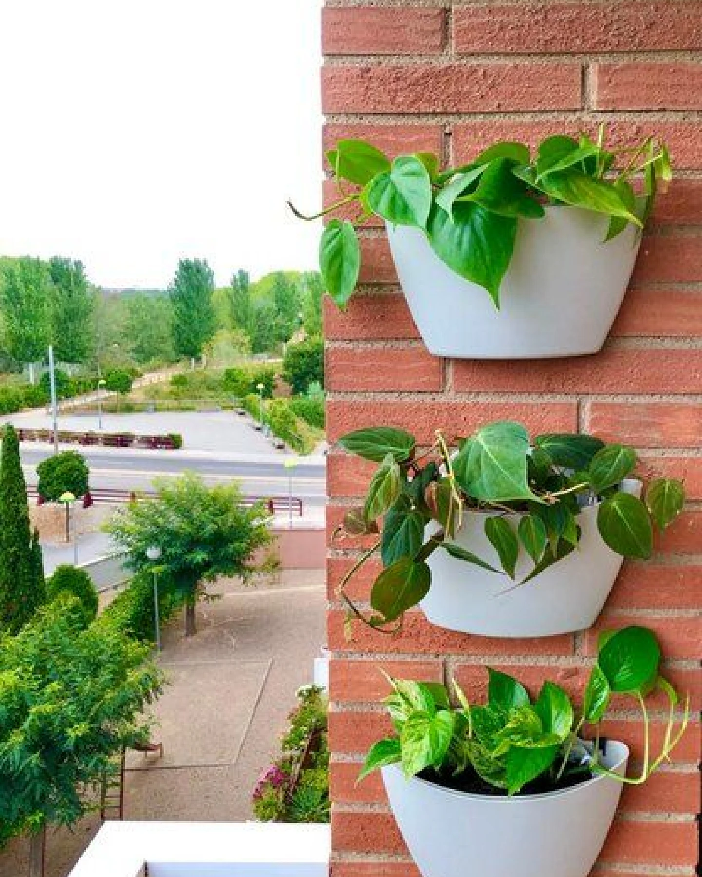 CitySens 6er-Pack Wand-Blumentopf – Ansicht 3