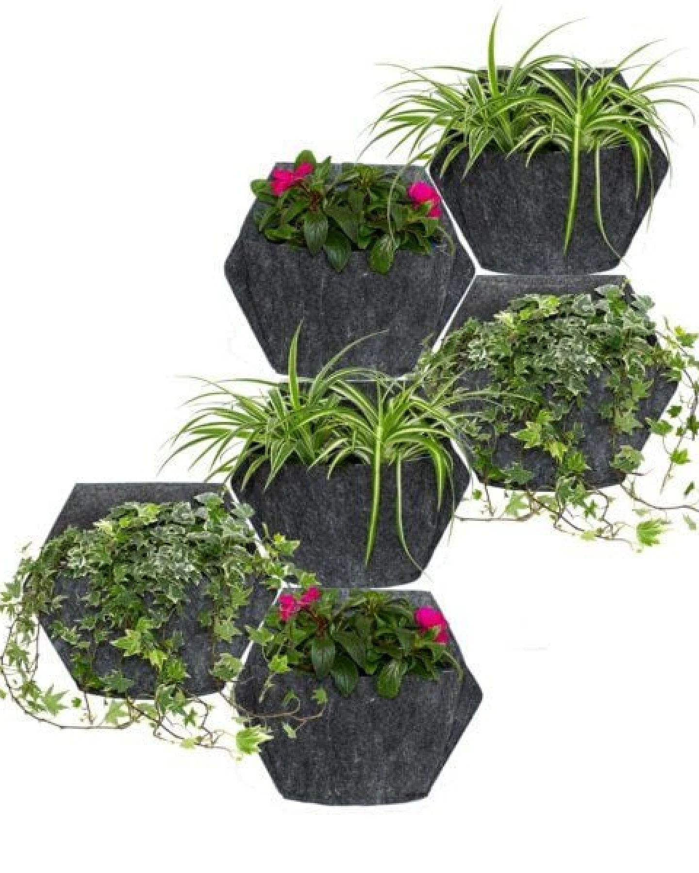 CitySens 6er-Pack Wand-Blumentopf mit Textilbezug – Ansicht 4