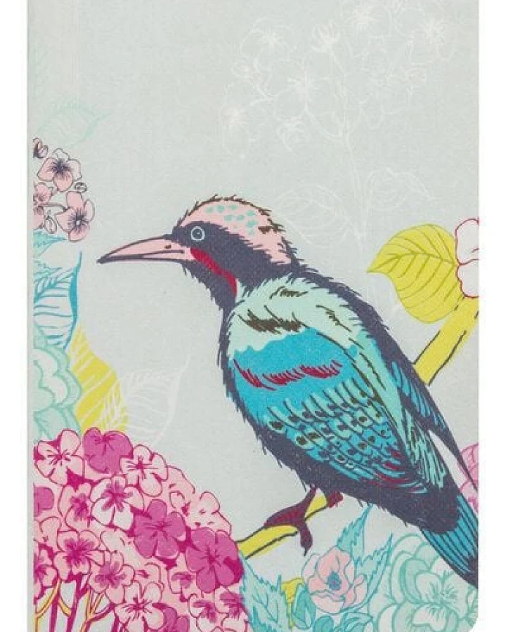Bird (Nb241)