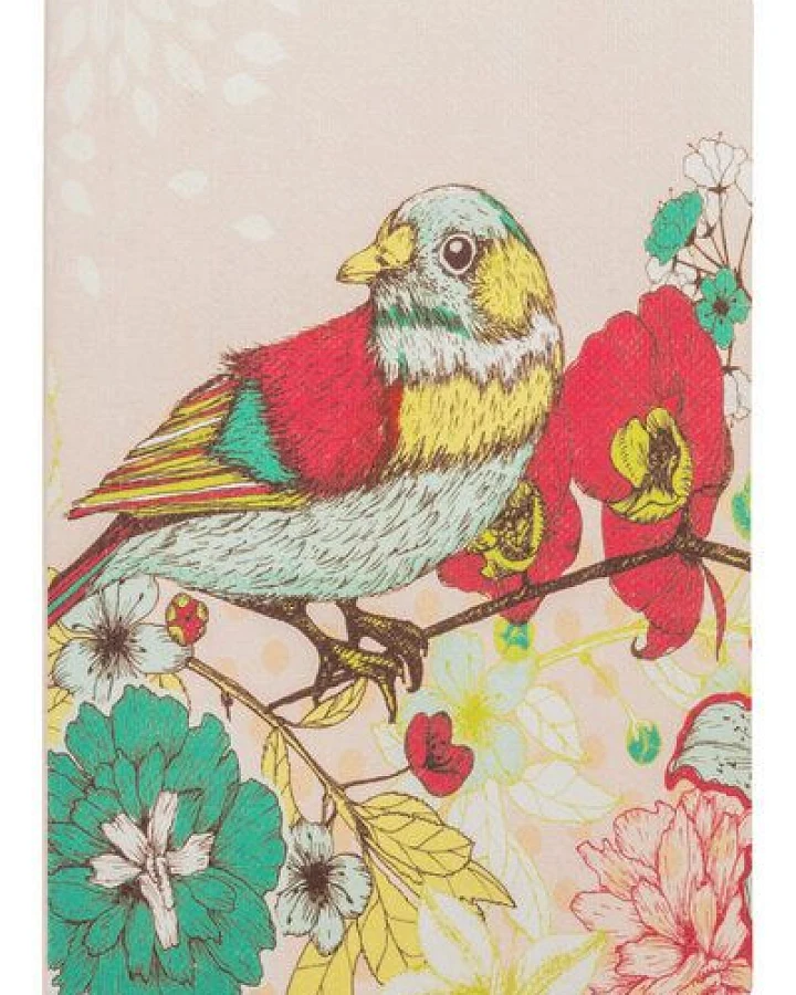 Bird (Nb242)