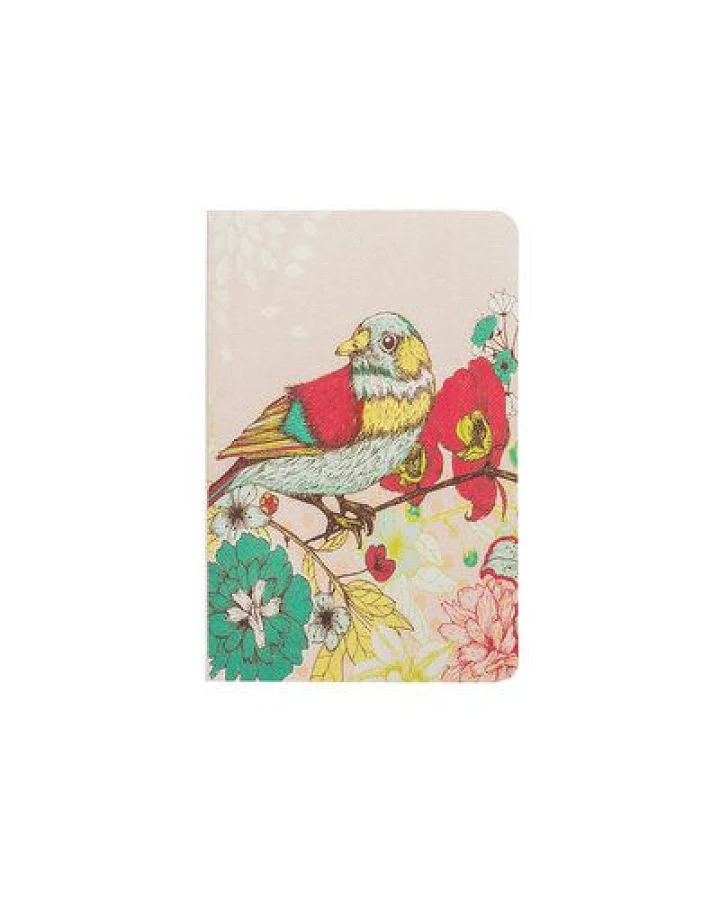 Bird (Nb242)