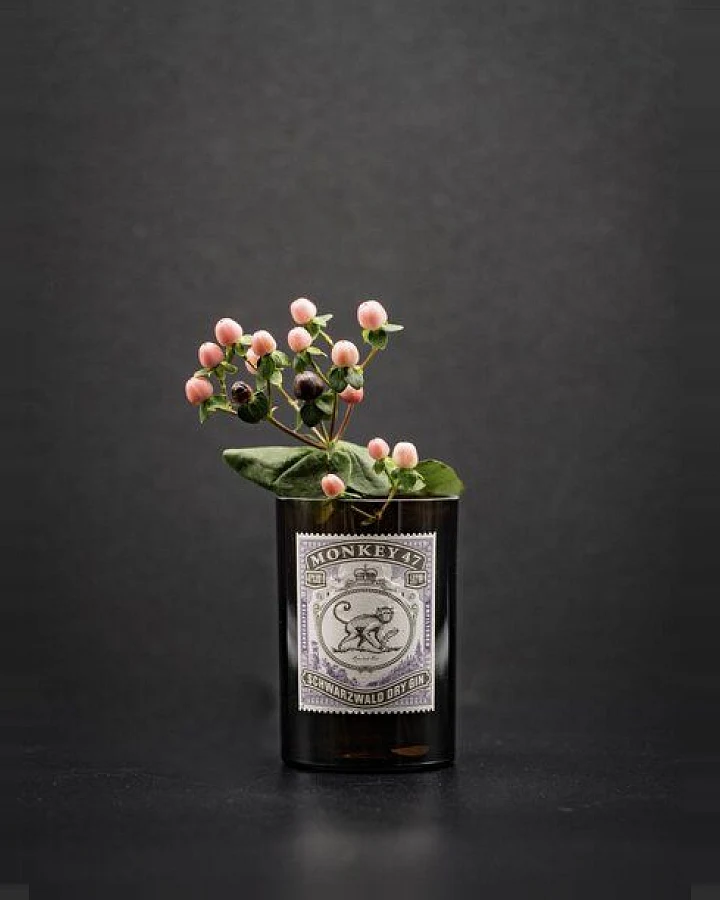 MaBe Vase aus der Gin Flasche - witzig als nachhaltiges Geschenk