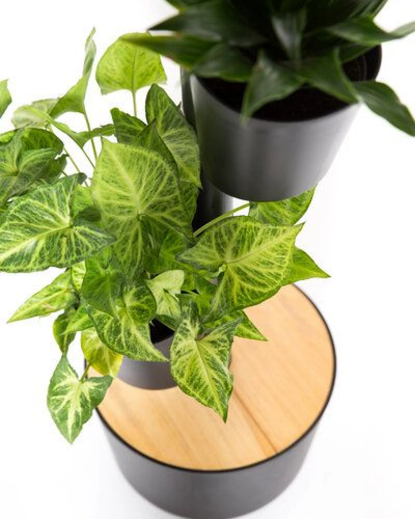 CitySens Vertikaler Blumentopf mit manueller Bewässerung; 3 Blumentöpfe – Ansicht 4