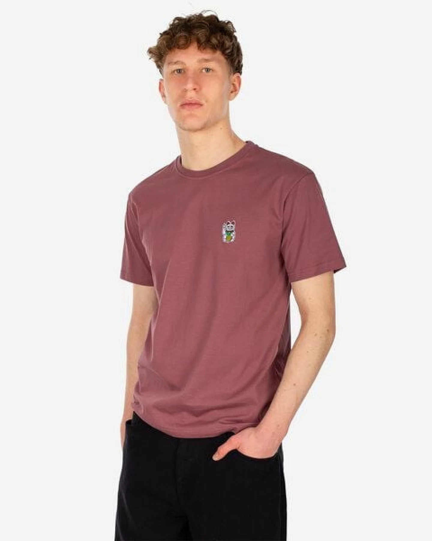 Iriedaily Bye Bye Tee – Ansicht 4