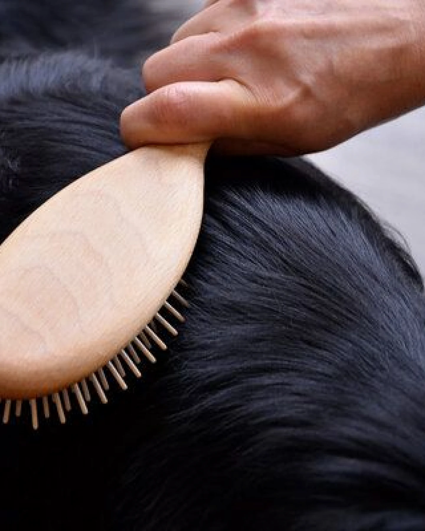 Treusinn Hundebürste ZOTTL Langhaar / aus Buchenholz mit langen Holzstiften – Ansicht 2