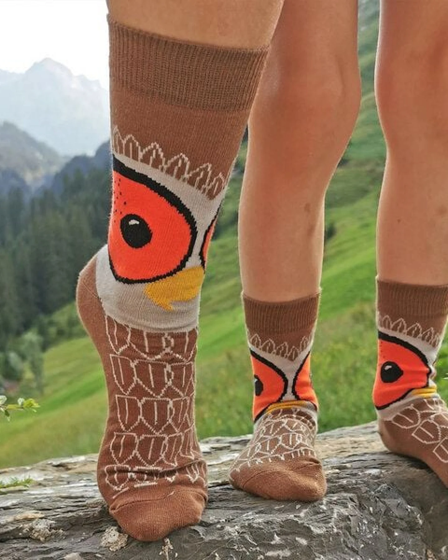 Fräulein Prusselise Eule Socke braun orange bunt gemustert story – Ansicht 4