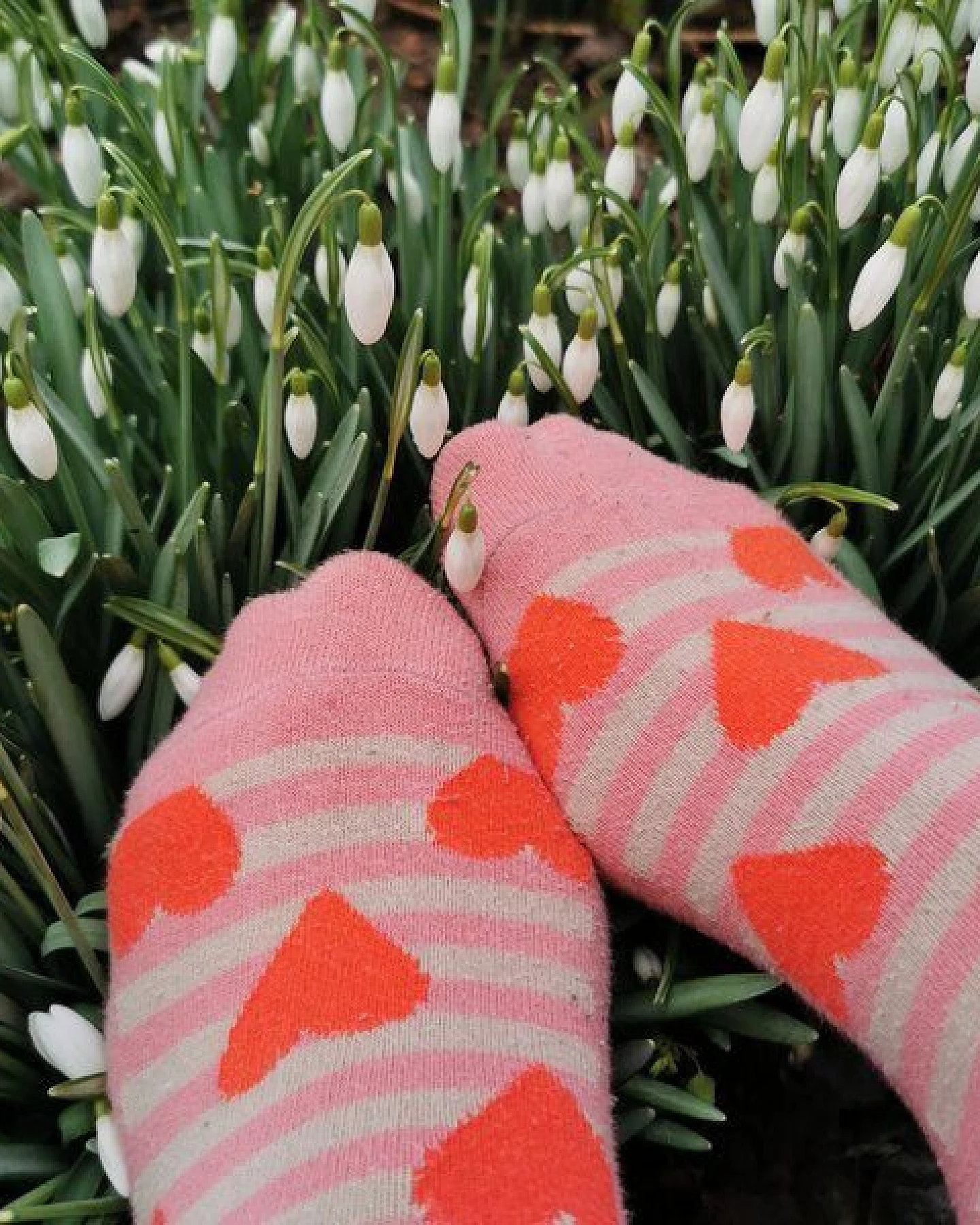 Fräulein Prusselise Herzchen Socken rot, beige, rosa, bunt gemustert – Ansicht 2