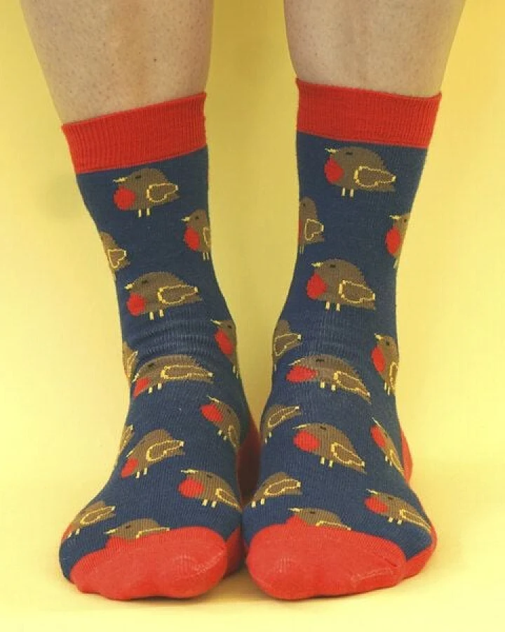 Fräulein Prusselise Rotkehlchen Socke Robyn, blau, rot, bunt gemustert
