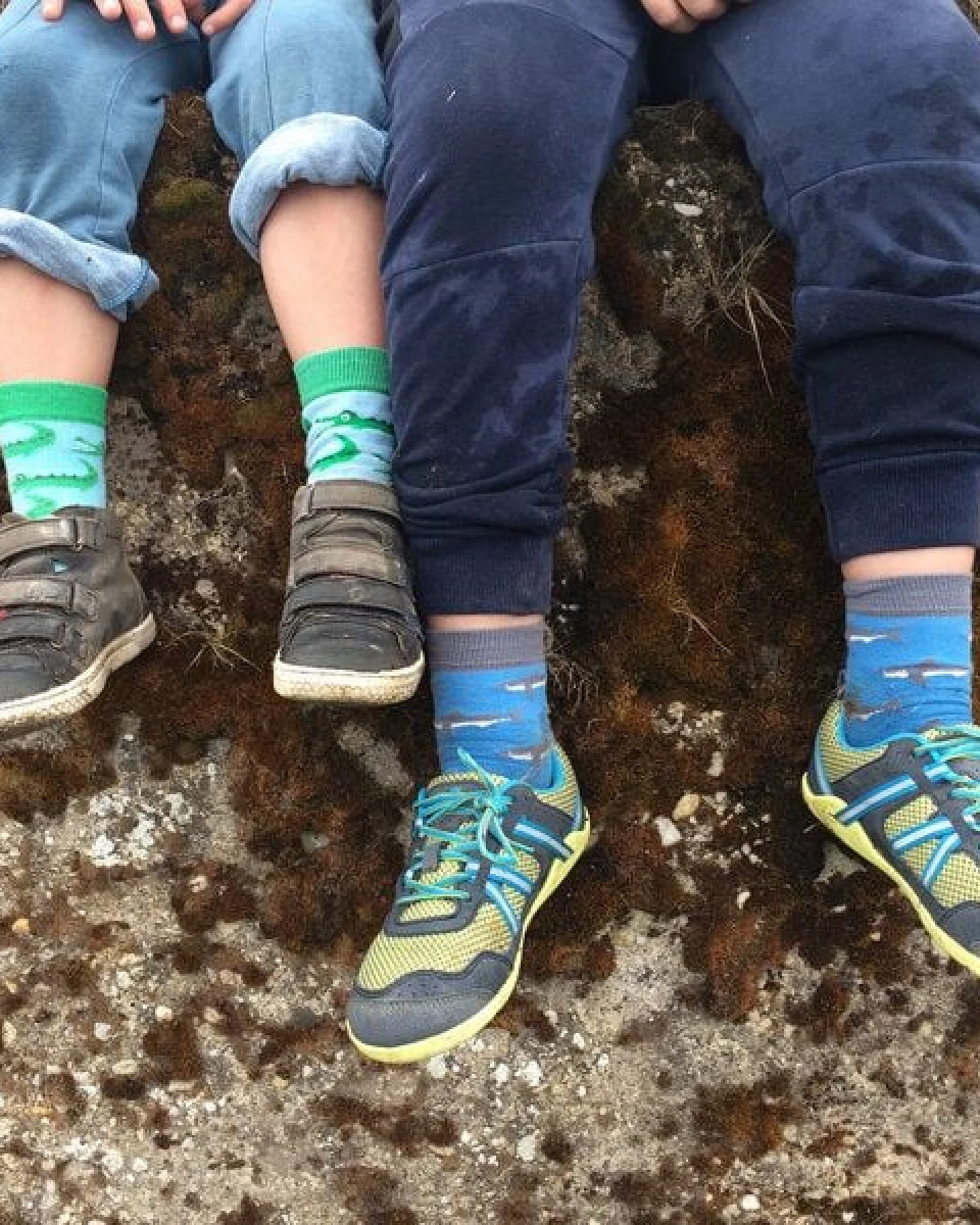Fräulein Prusselise Hai Socken blau, bunt gemustert – Ansicht 2