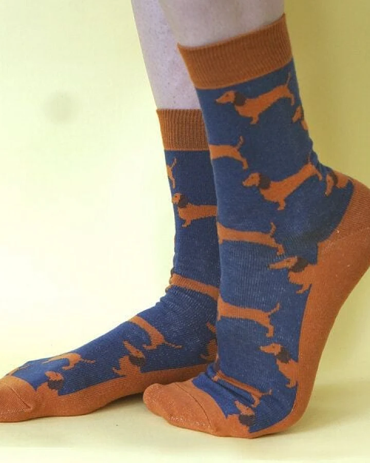 Fräulein Prusselise Dackel Socke Sausagedog blau orange bunt gemustert