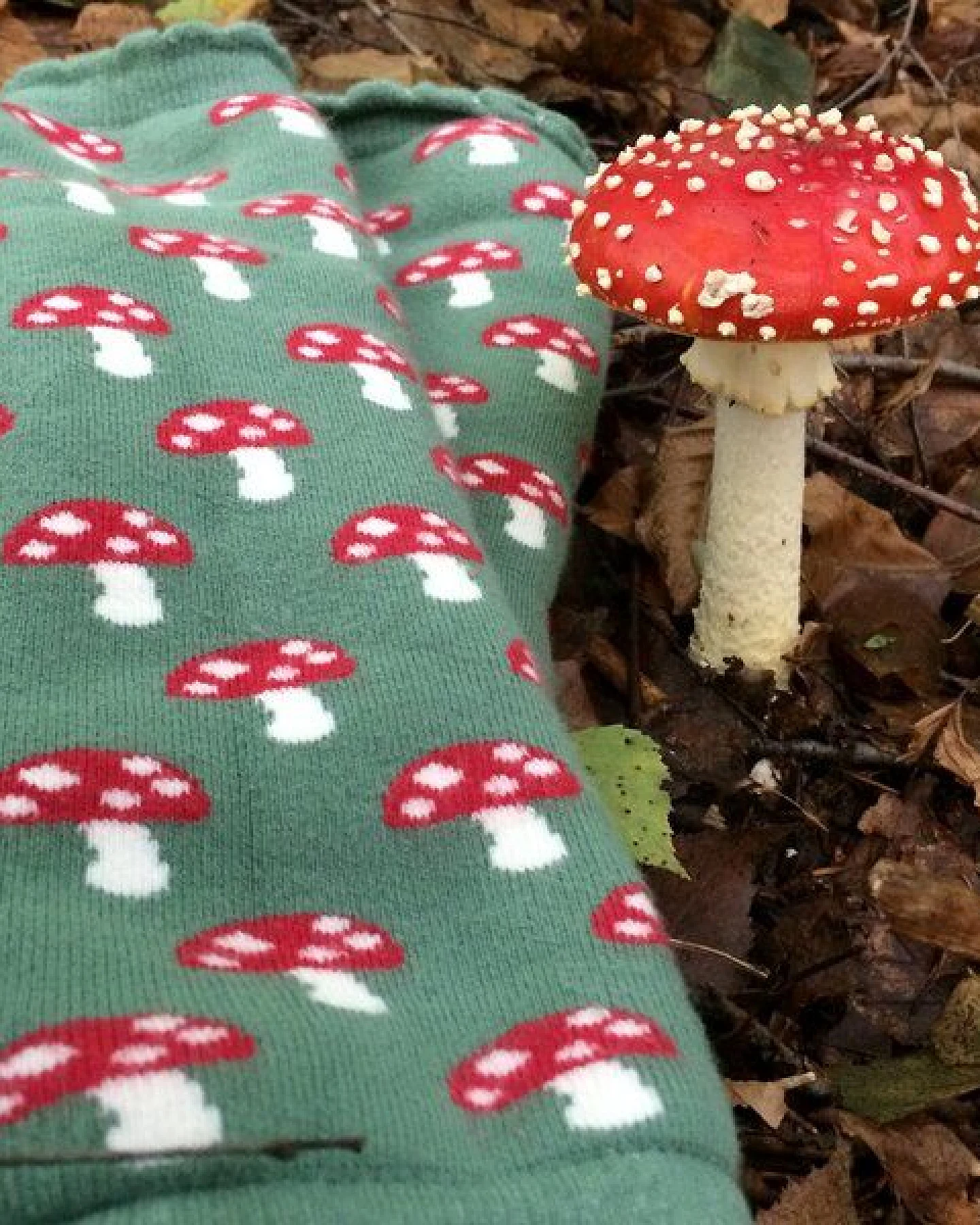 Fräulein Prusselise Stulpen Pilze grün, rot, bunt gemustert, Beinlinge Armlinge – Ansicht 3
