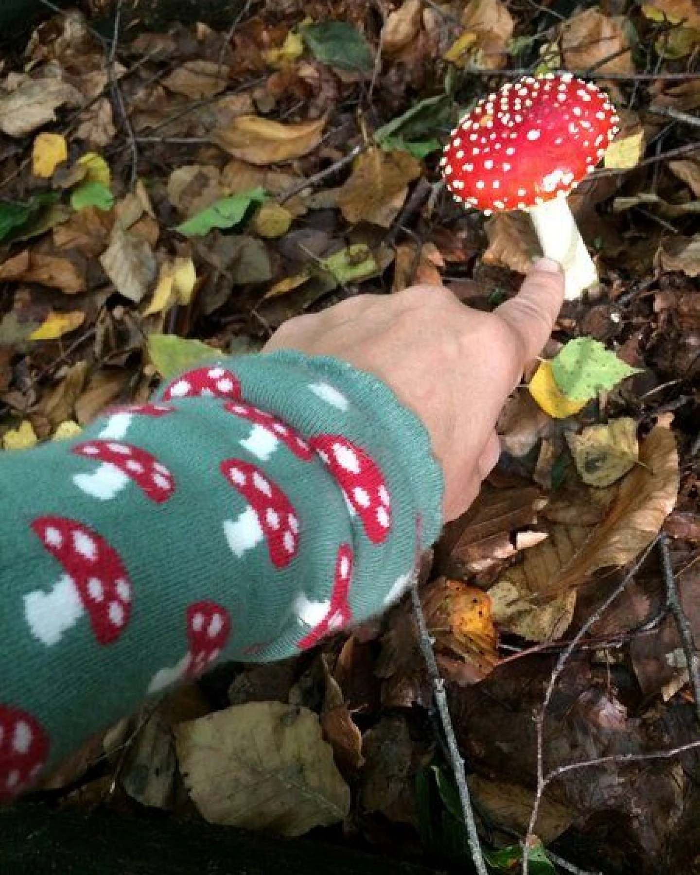 Fräulein Prusselise Stulpen Pilze grün, rot, bunt gemustert, Beinlinge Armlinge – Ansicht 4
