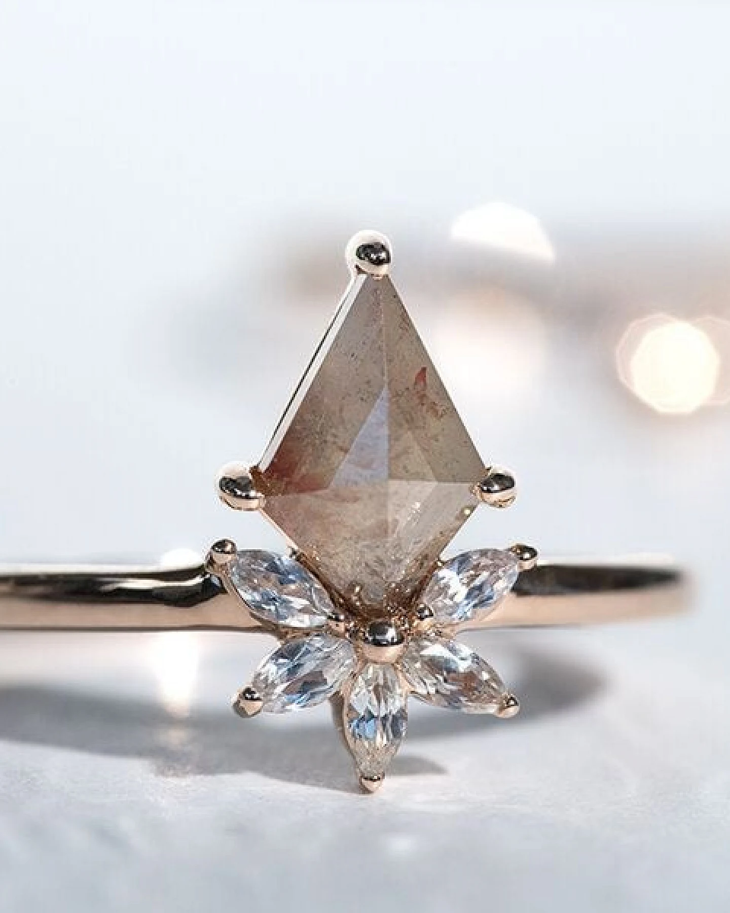 Eppi Ring mit einem Salt and Pepper Diamanten und weißen Moissaniten Leony – Ansicht 2