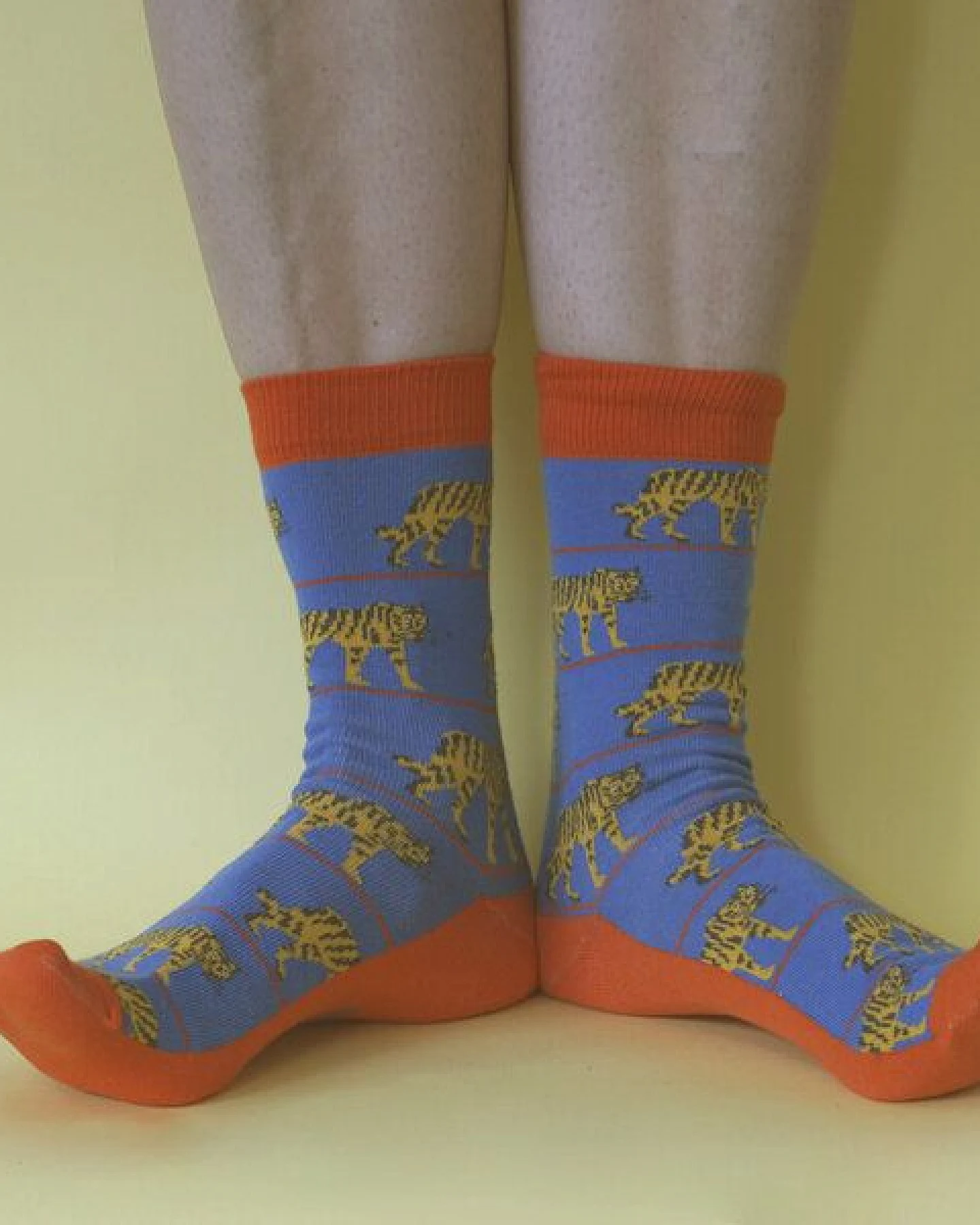 Fräulein Prusselise Tiger Socke rot blau, bunt gemustert, Streifen – Ansicht 2