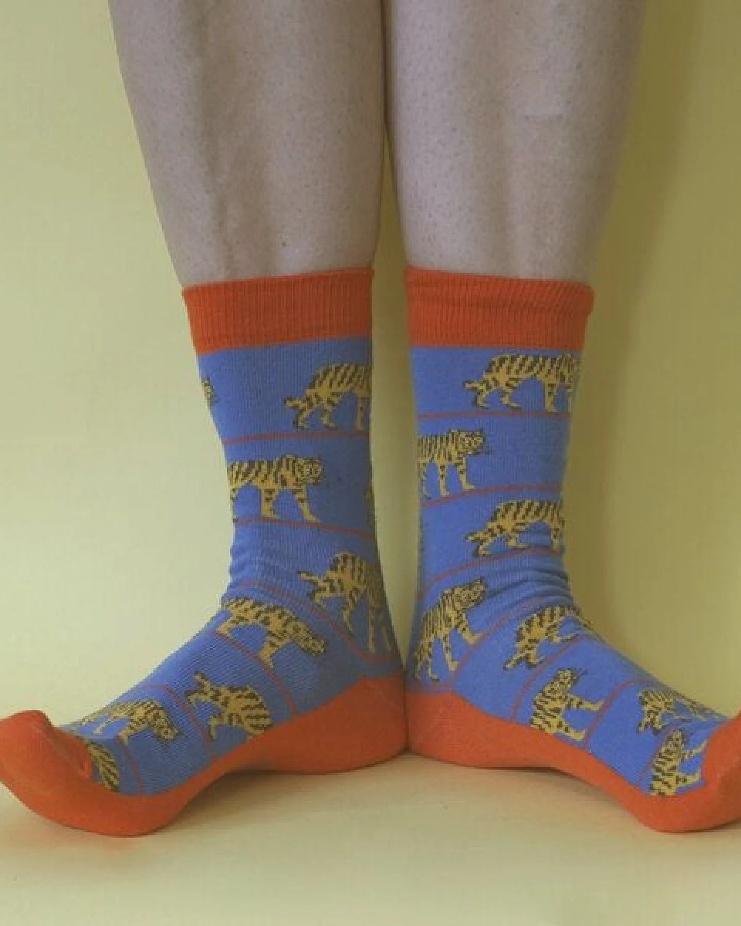 Fräulein Prusselise Tiger Socke rot blau, bunt gemustert, Streifen – Ansicht 2