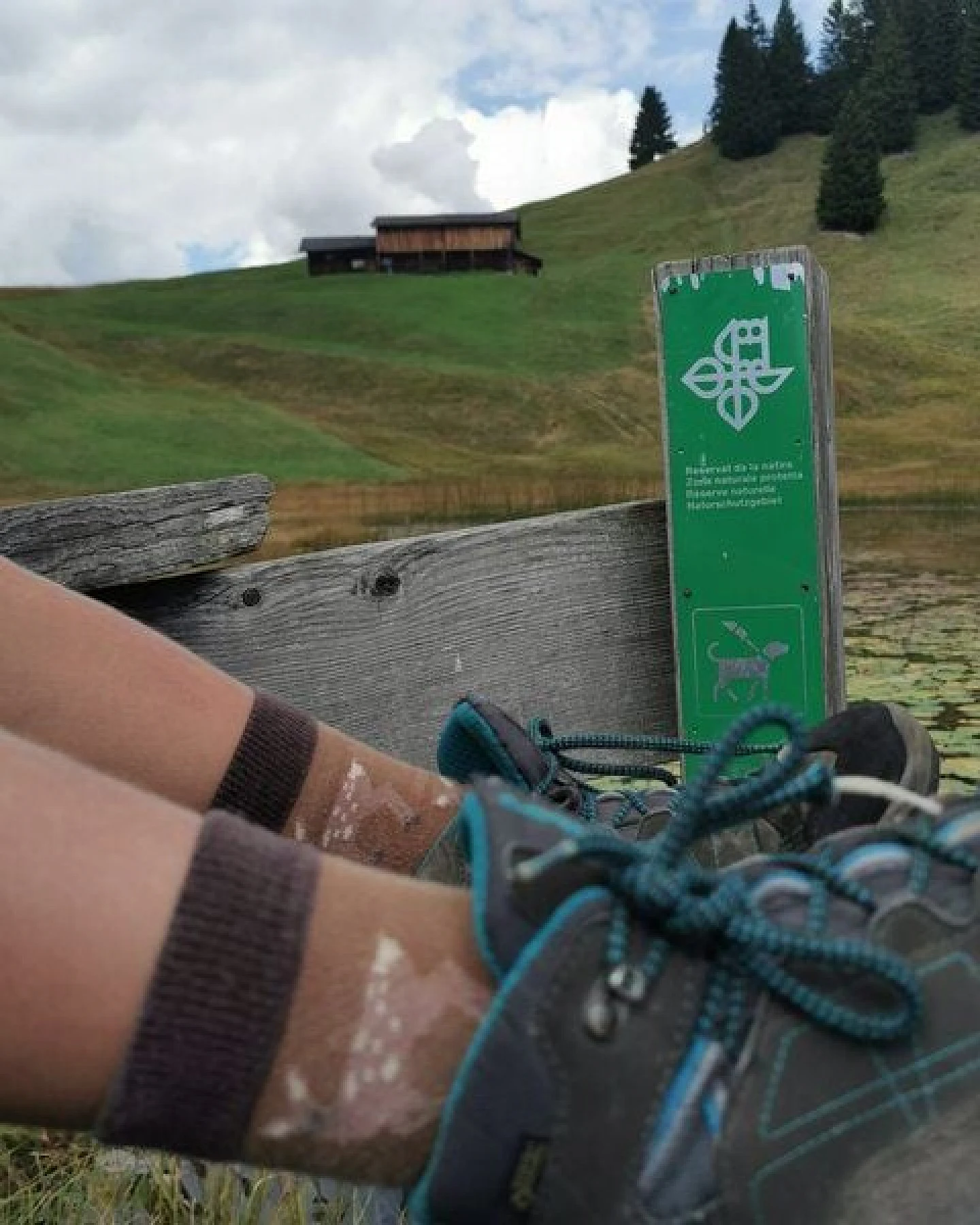 Fräulein Prusselise Socke mit Rehen, braun, bunt gemustert – Ansicht 4