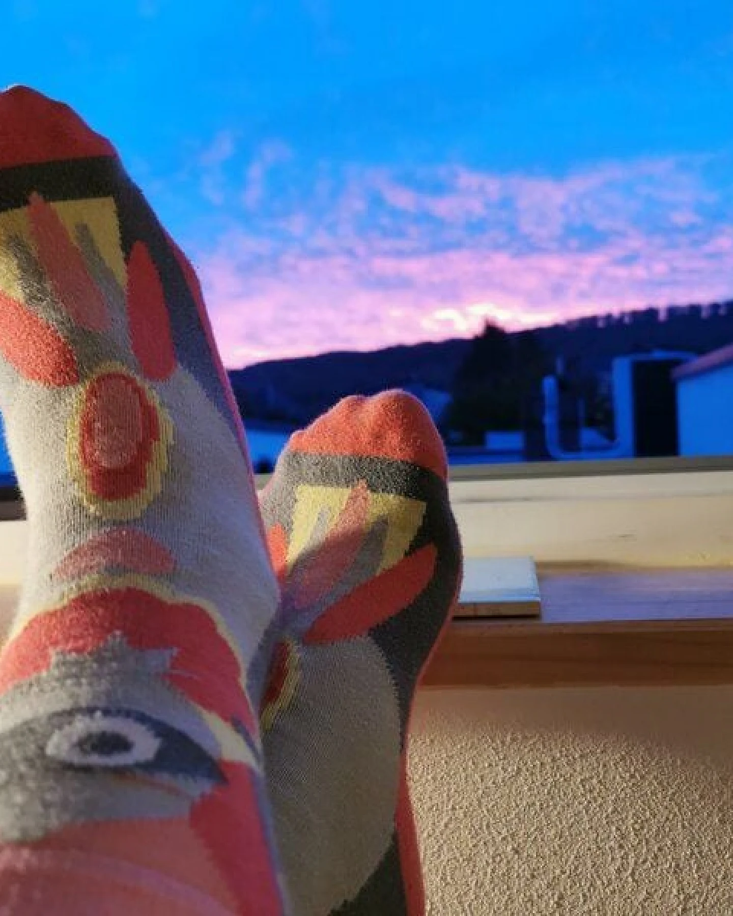 Fräulein Prusselise Paradies Vogel Socken, grau rosa, pink, bunt gemustert – Ansicht 4