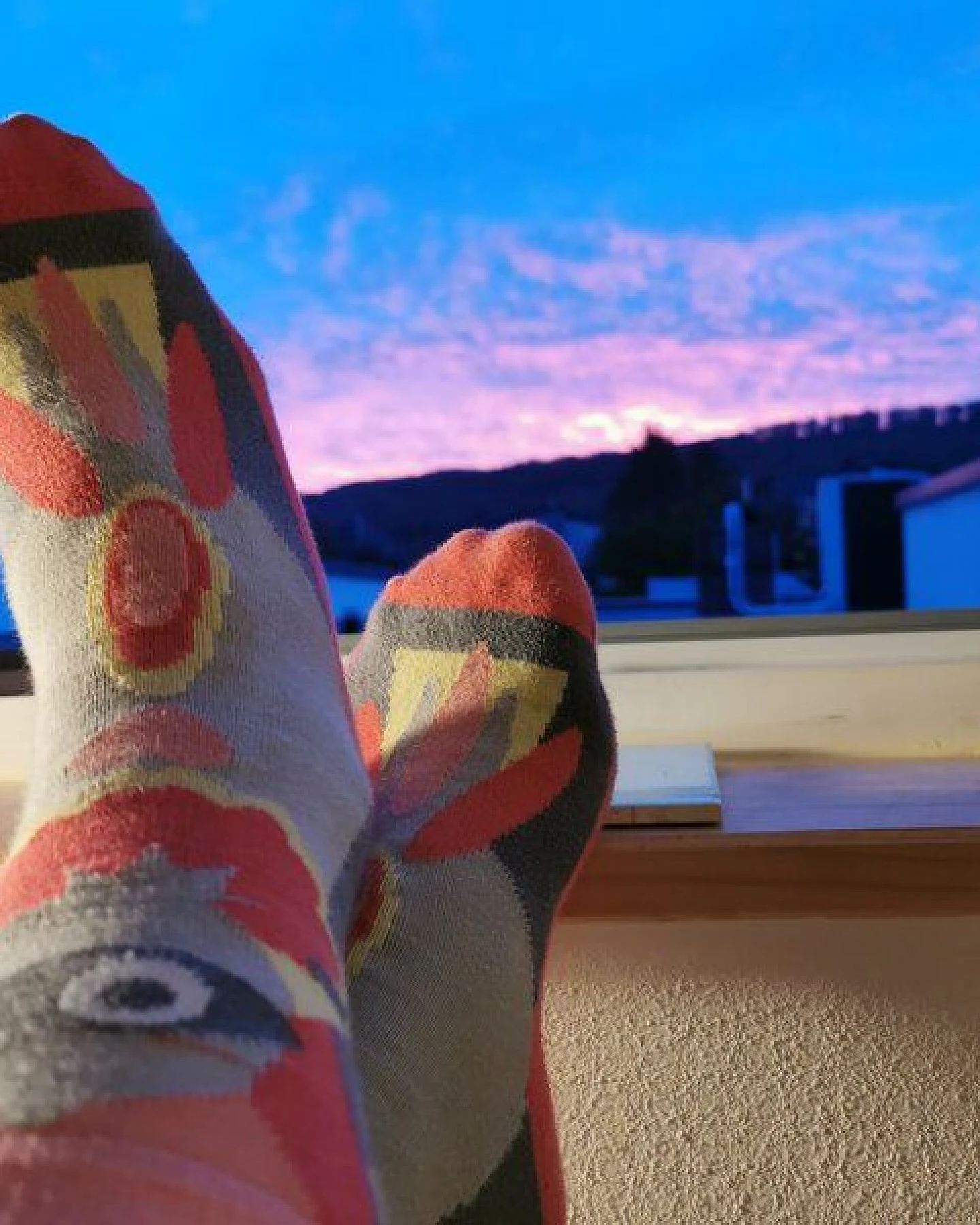 Fräulein Prusselise Paradies Vogel Socken, grau rosa, pink, bunt gemustert – Ansicht 4