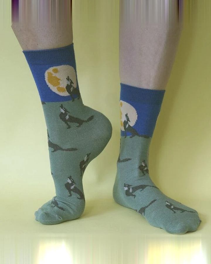 Fräulein Prusselise Wolfs Mond Socken, Story, blau, grün, bunt gemustert