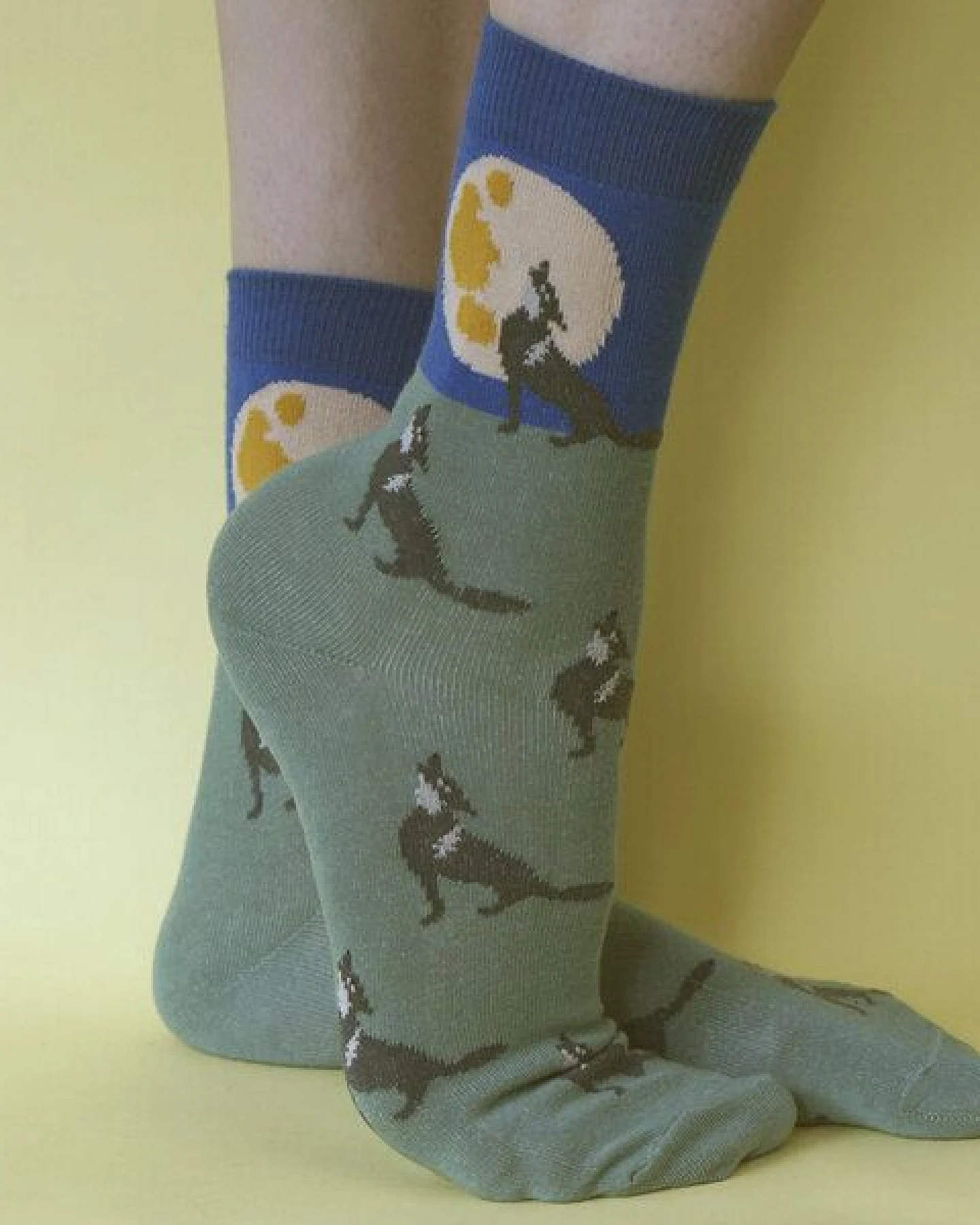 Fräulein Prusselise Wolfs Mond Socken, Story, blau, grün, bunt gemustert – Ansicht 2