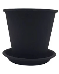 Schwarz