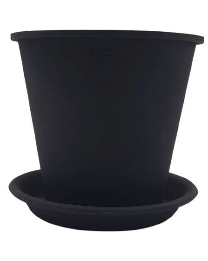 Schwarz