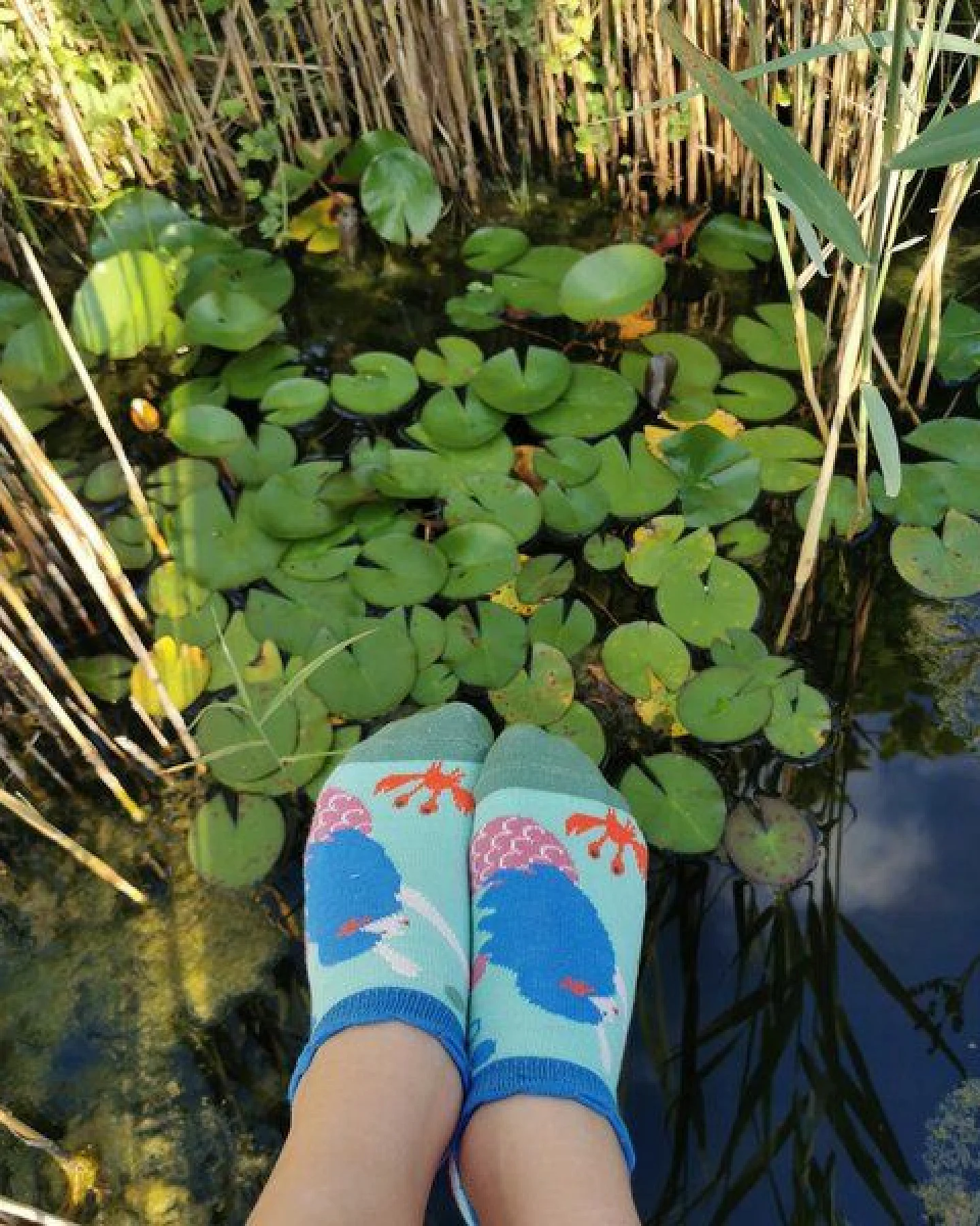 Fräulein Prusselise Meerjungfrauen Sneaker Socke, story, meermaid, türkies bunt gemustert – Ansicht 3