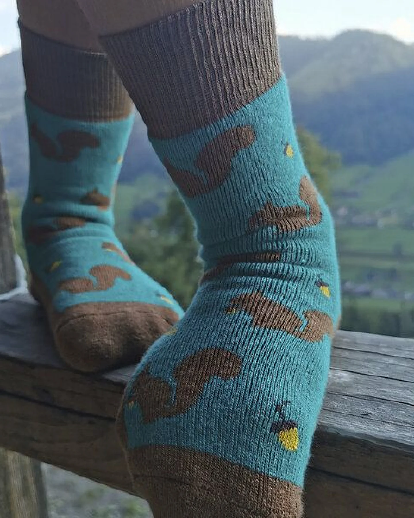 Fräulein Prusselise Dicke Eichhörnchen Frottee Socken petrol braun bunt gemustert – Ansicht 4