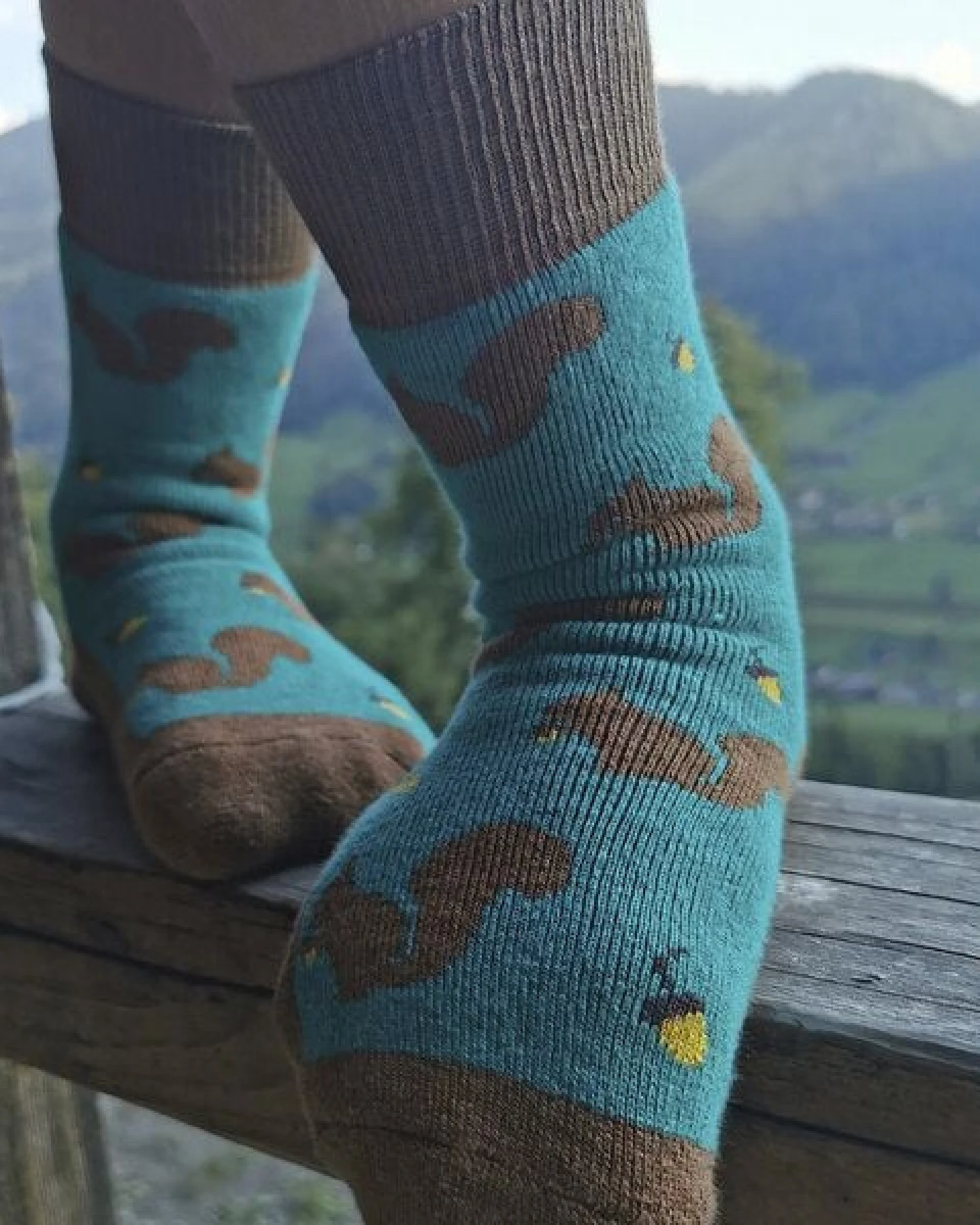 Fräulein Prusselise Dicke Eichhörnchen Frottee Socken petrol braun bunt gemustert – Ansicht 4