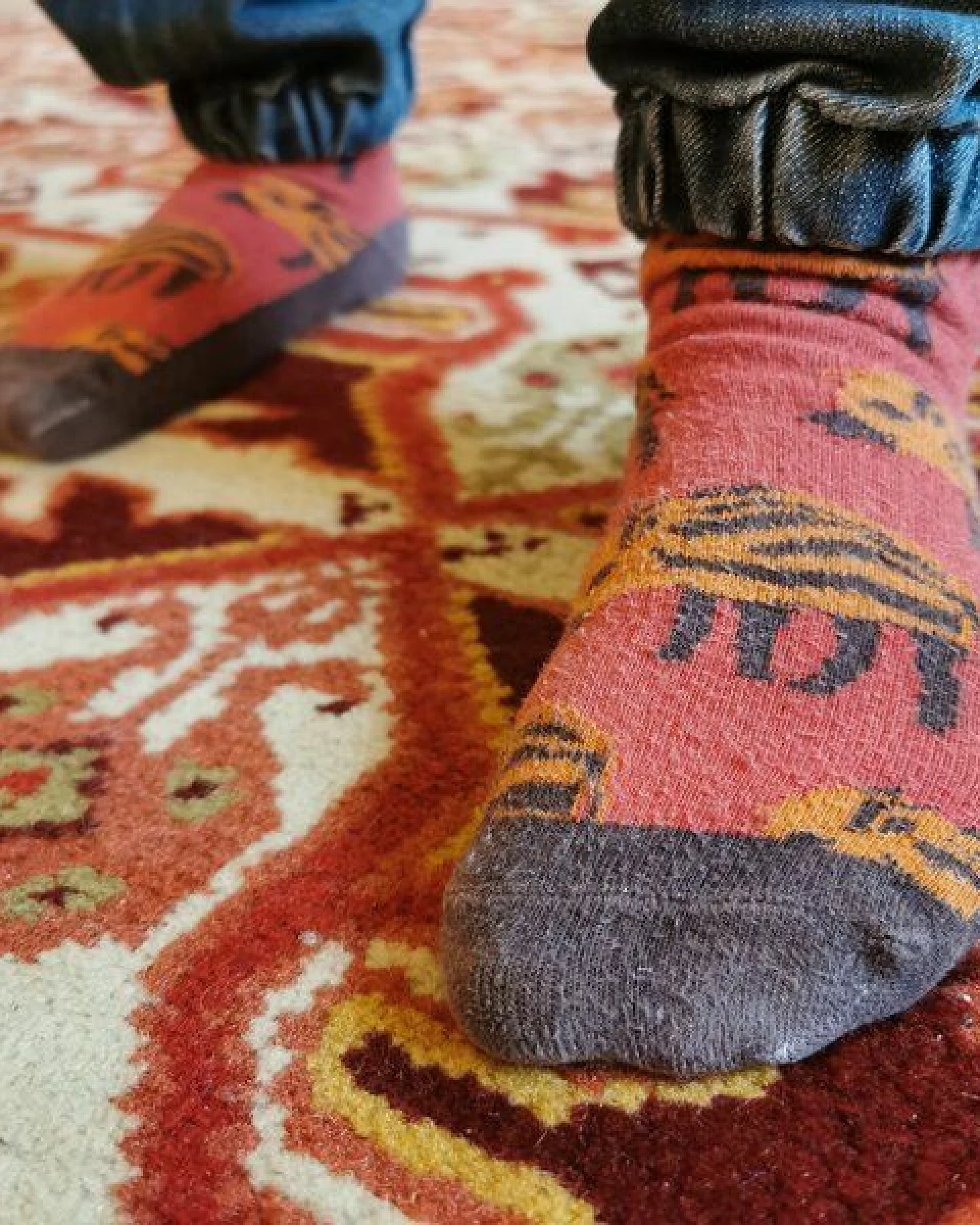 Fräulein Prusselise Dicke Wildschwein Frottee Socken rostrot, bunt gemustert – Ansicht 3