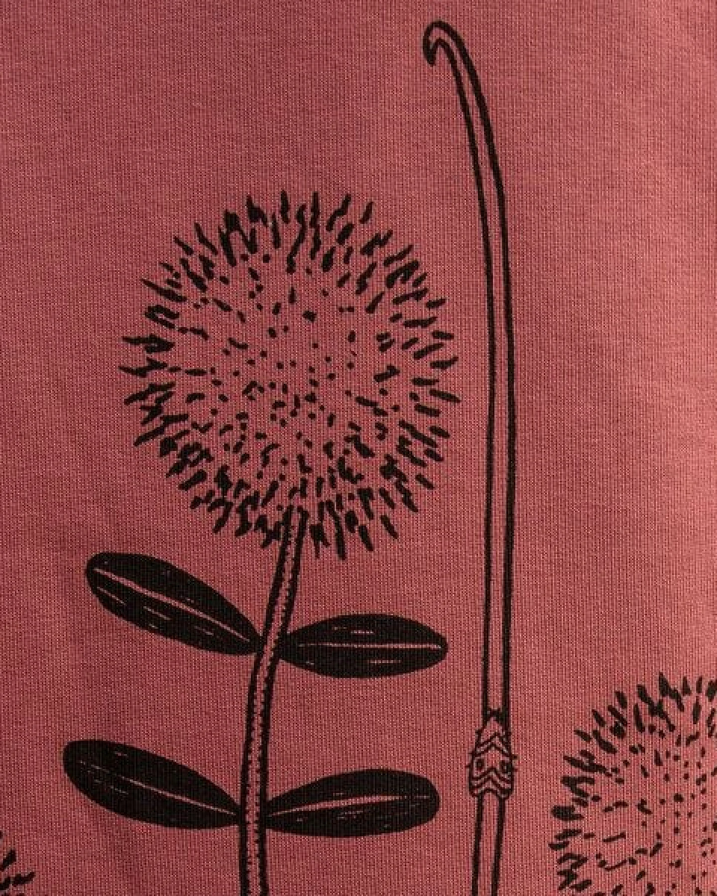 Cmig Kinder Hoodie Waldblumen in hibiscus rose – Ansicht 4