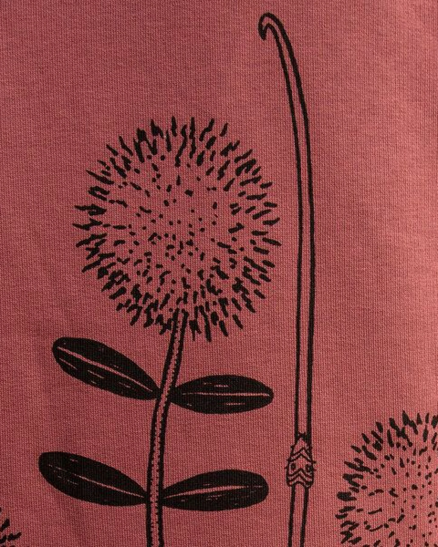 Cmig Kinder Hoodie Waldblumen in hibiscus rose – Ansicht 4