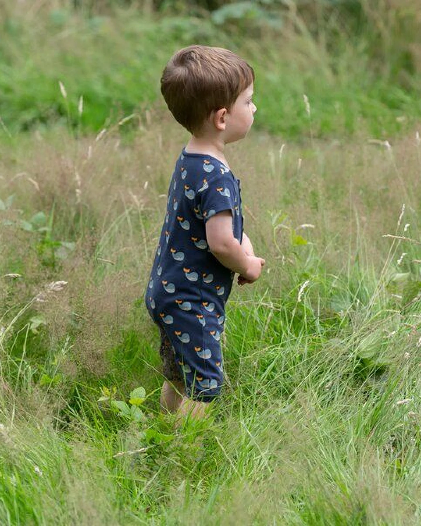 Little Green Radicals Baby Sommerstrampler aus Bio-Baumwolle – Wal – Ansicht 2