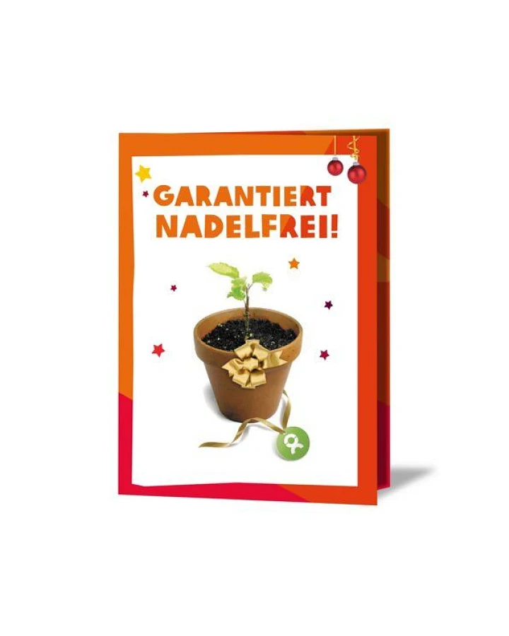 OxfamUnverpackt Spenden-Geschenk "25 junge Bäume" (Weihnachtskarte mit Magnet)