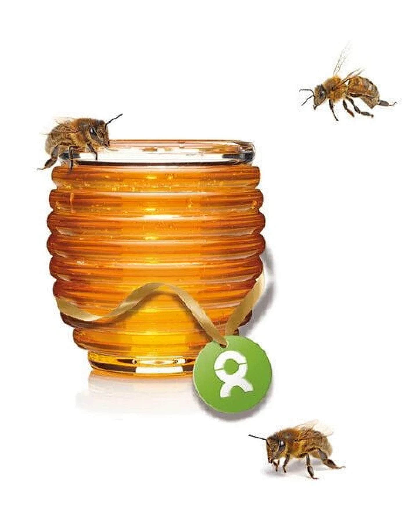 OxfamUnverpackt Spenden-Geschenk "Honigbienen" (Muttertagskarte mit Magnet) – Ansicht 3