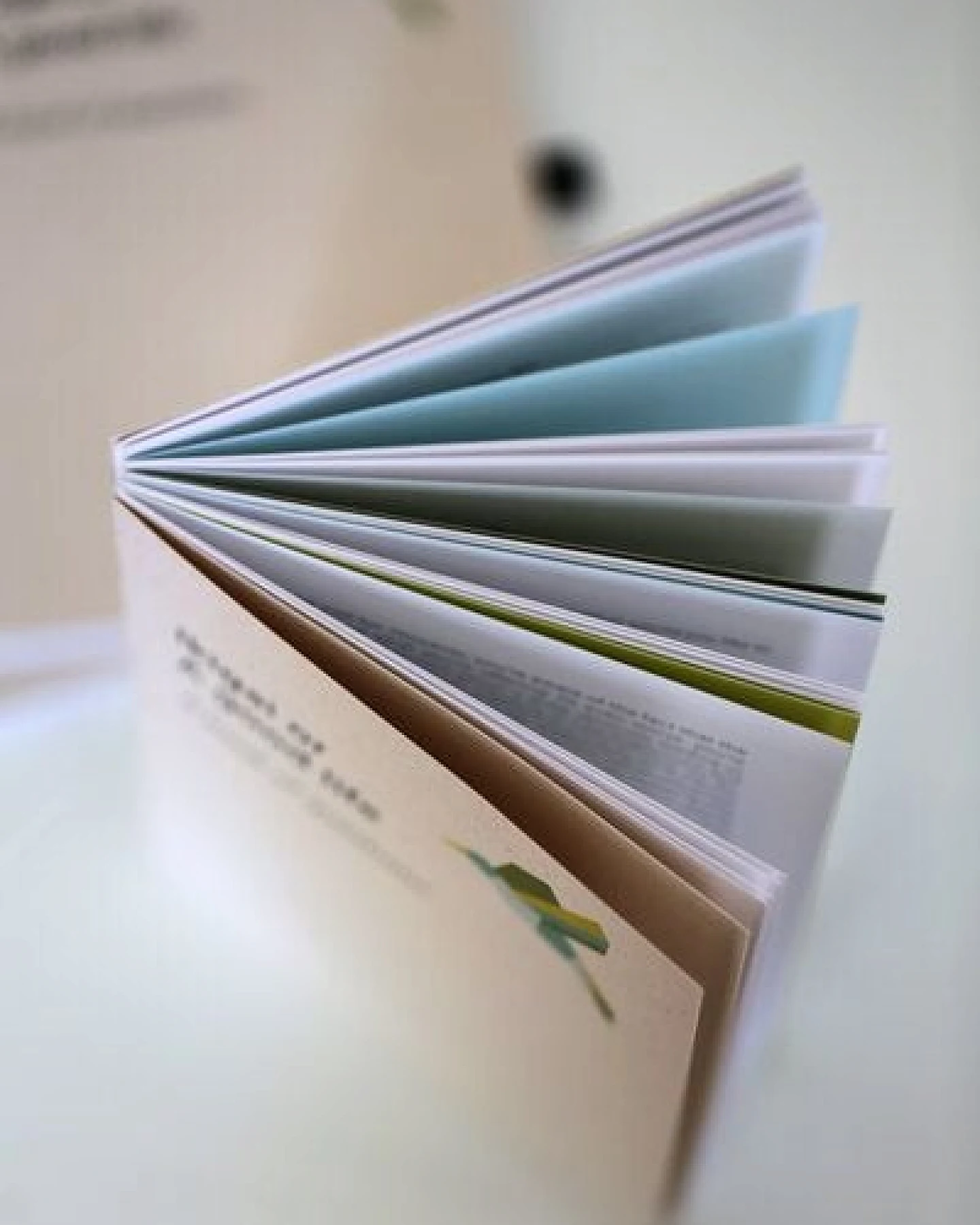 in love with paper Fragebuch Ikigai oder ein gutes Leben – Ansicht 3