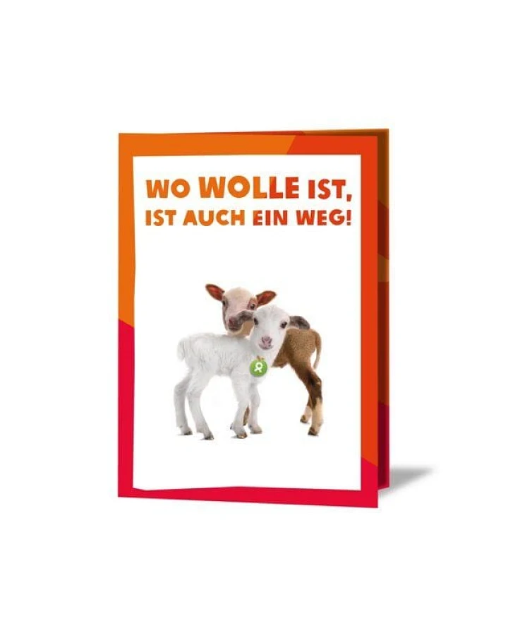 OxfamUnverpackt Spenden-Geschenk "Lammpärchen" (Grußkarte mit Magnet)