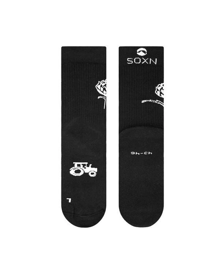 SOXN KoLa / Nachhaltige Socken / Bio-Baumwolle