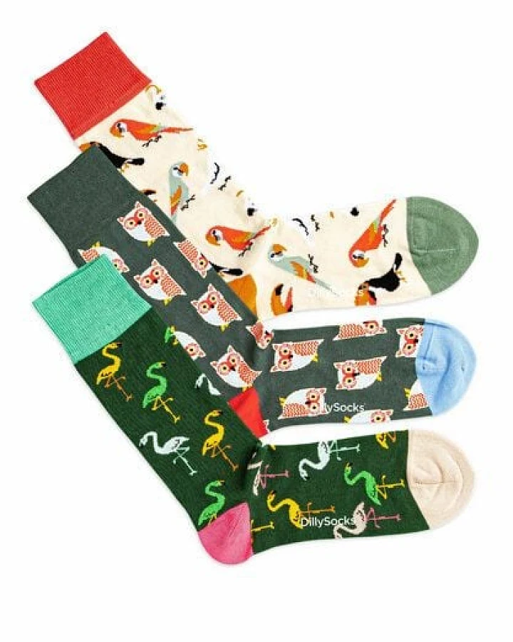DillySocks Socken „Bird Crowd Pack“