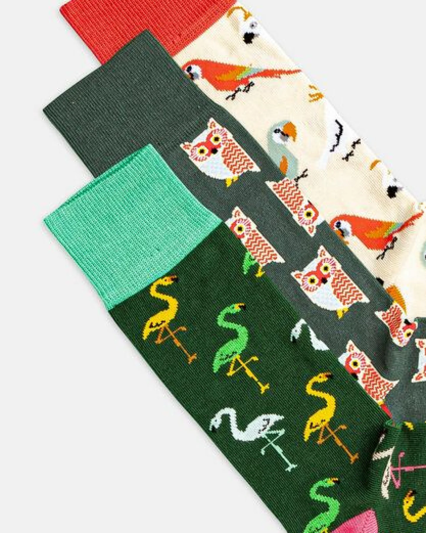 DillySocks Socken „Bird Crowd Pack“ – Ansicht 2