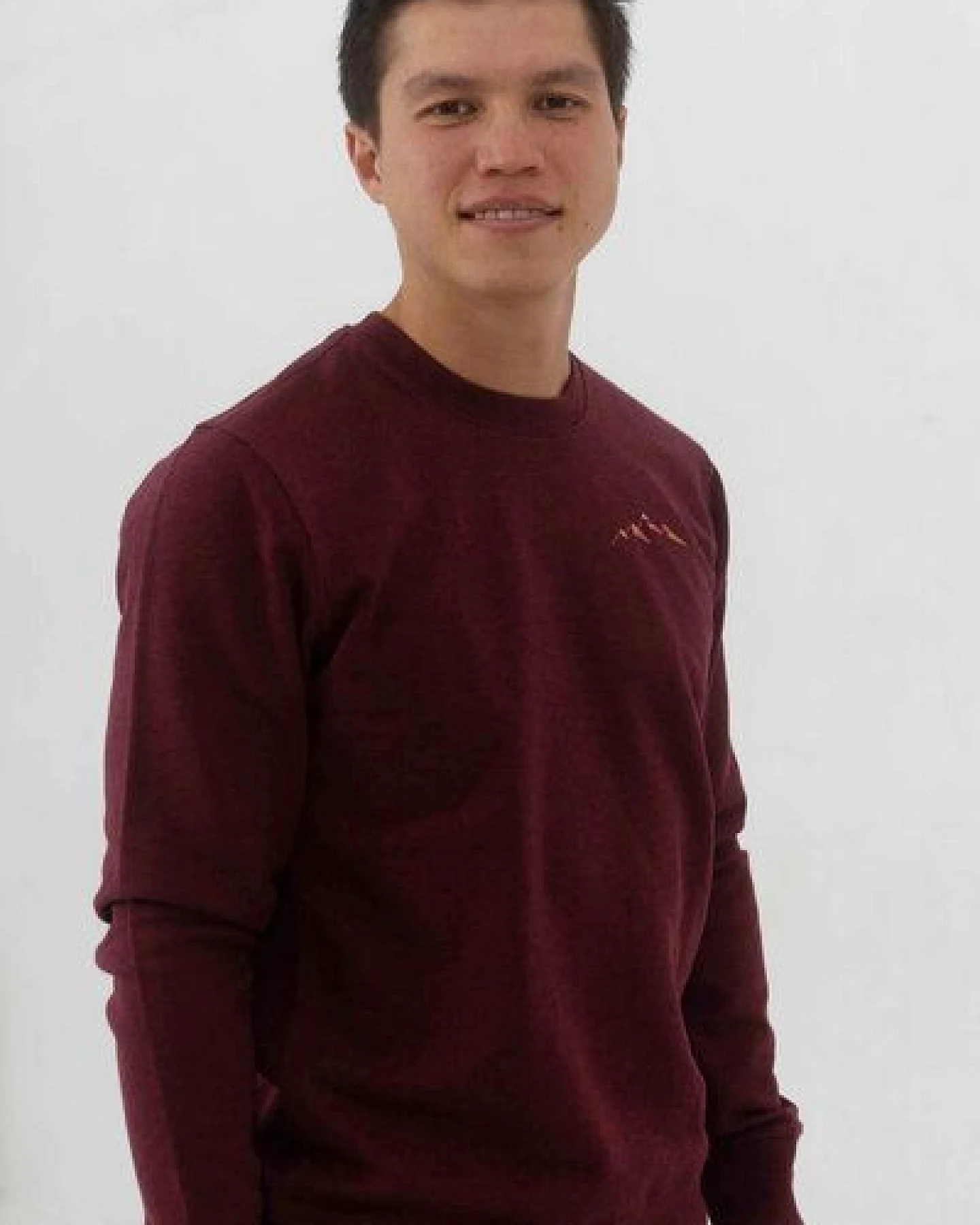Kultgut Biofair - Supersoft Sweatshirt - Pullover / Little Mountain Landscape – Ansicht 2