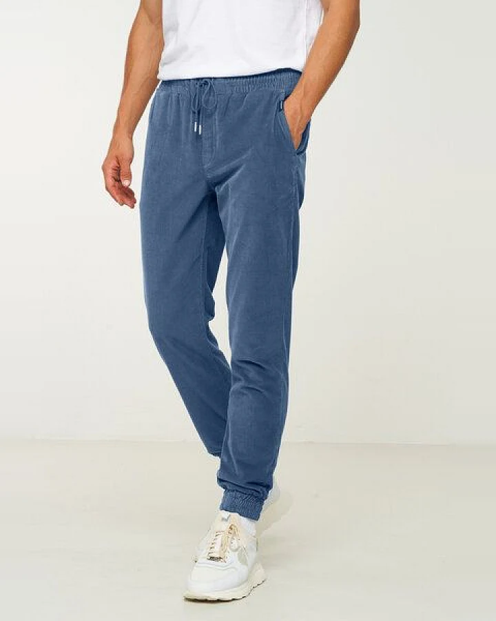 Herren Cord Jogg Chino aus Bio-Baumwolle - CYPERUS - recolution
