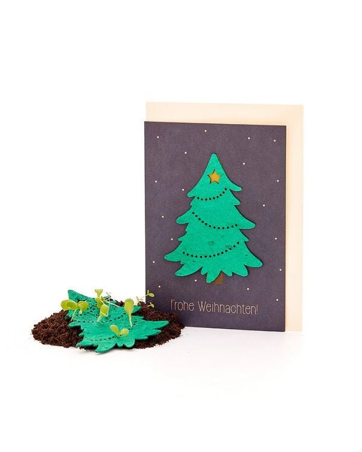 Die Stadtgärtner Nachhaltige Weihnachtskarte zum Einpflanzen mit Tannenbaum-Motiv inkl. Umschlag