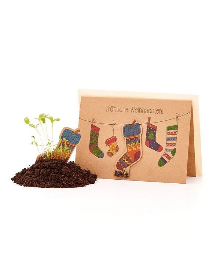 Die Stadtgärtner Weihnachtskarte zum Einpflanzen mit Socken-Motiv inkl. Umschlag