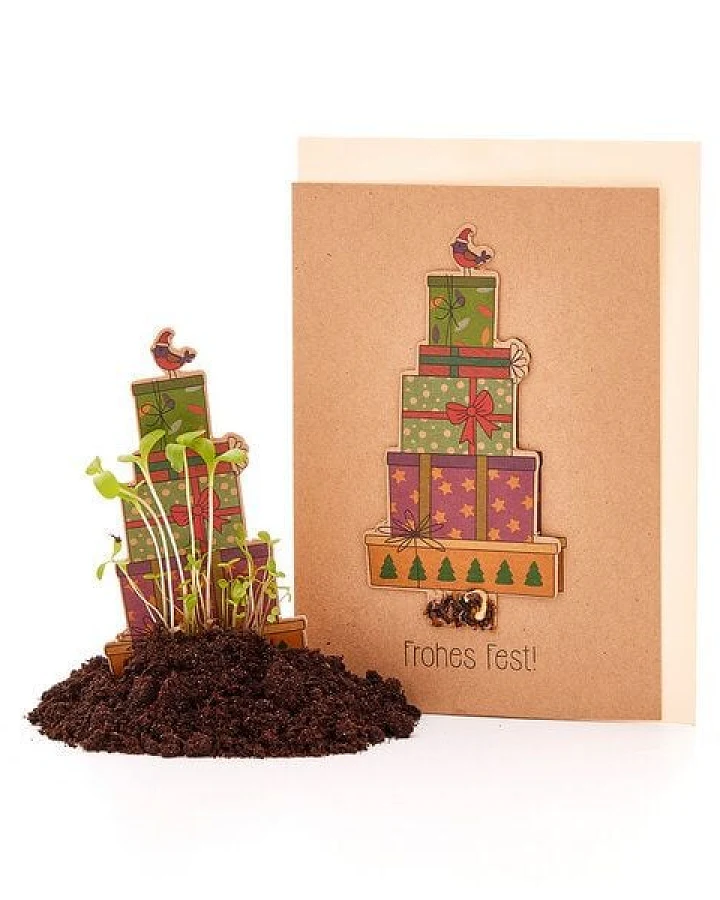 Die Stadtgärtner Weihnachtskarte zum Einpflanzen mit Geschenk-Motiv inkl. Umschlag