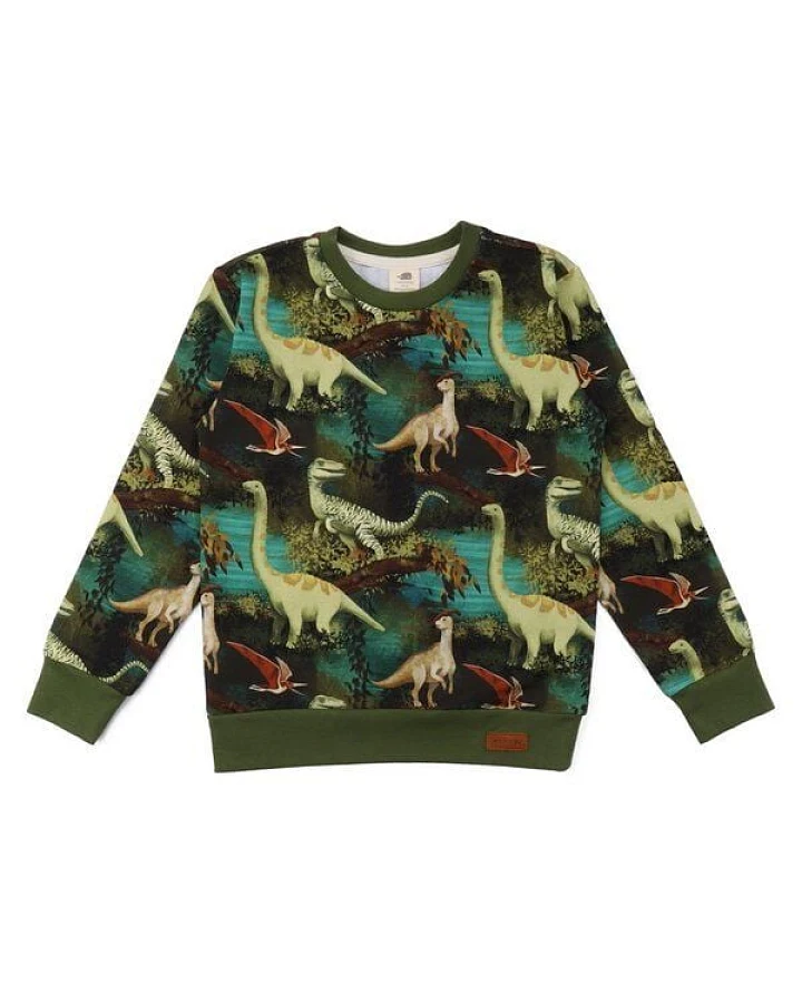 Kinder Sweatshirt GOTS zertifiziert, „Dinosaur Jungle“ Allover, grün, weich & elastisch – Walkiddy